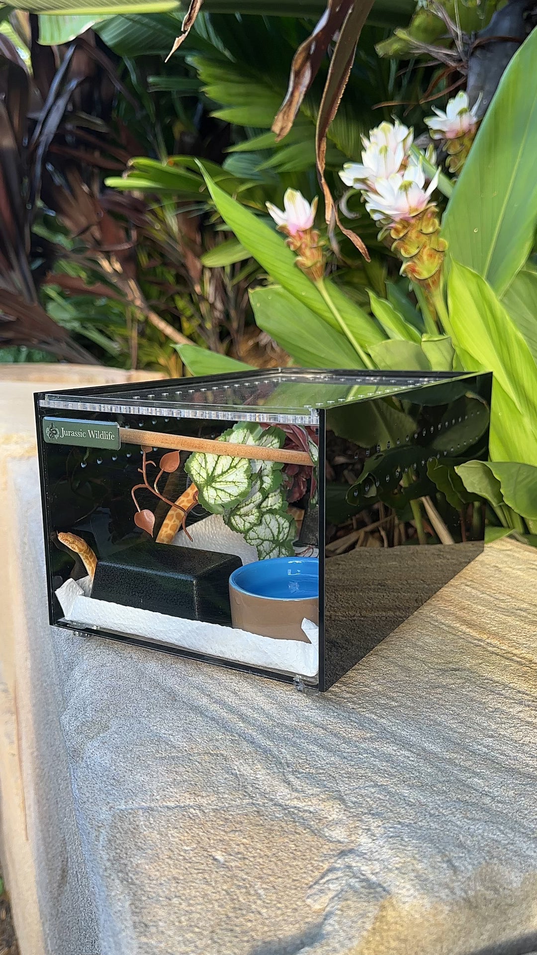 Hatchling Enclosure