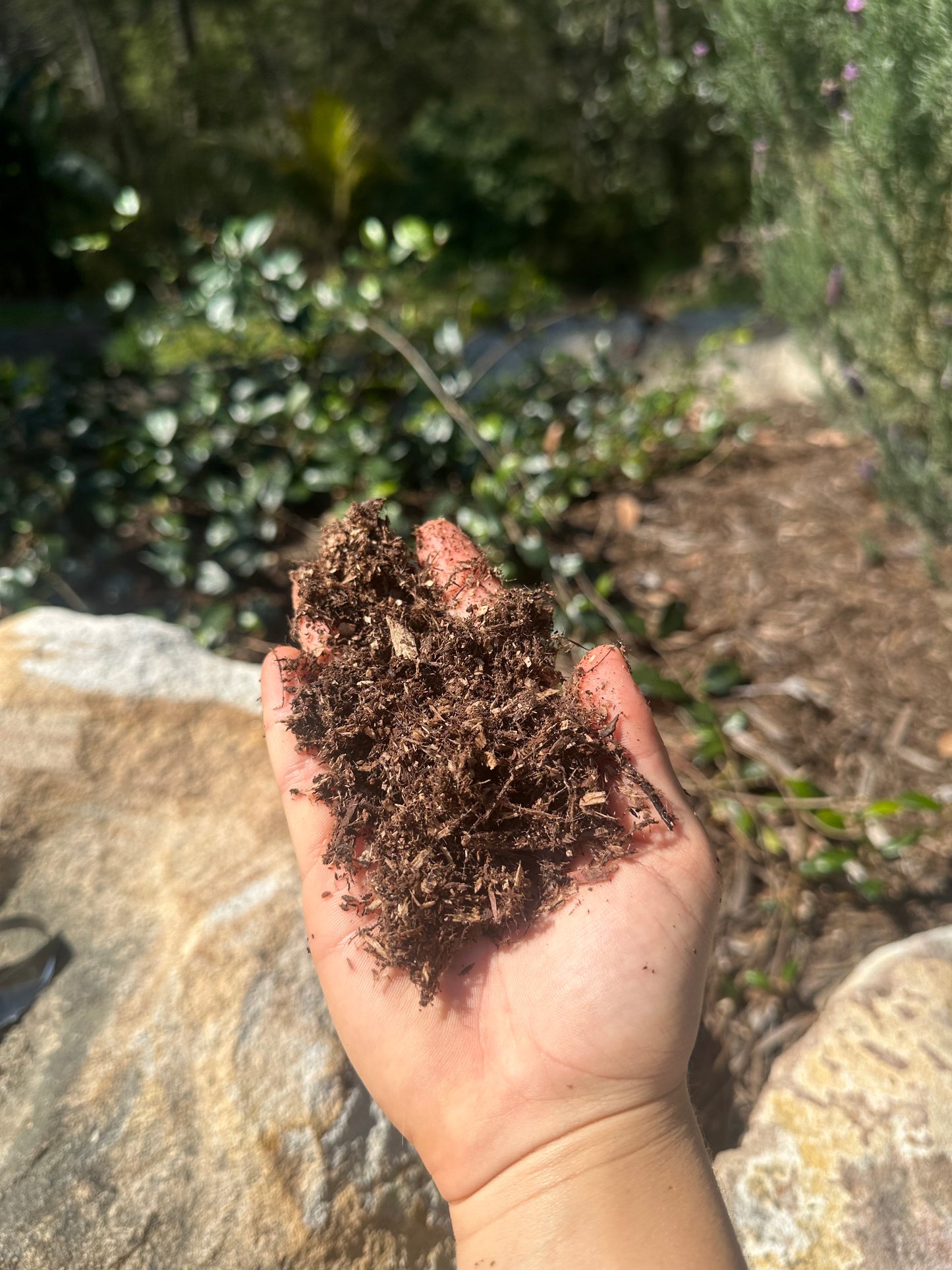 Cypress Bark Jurassic Natural Substrate 8L