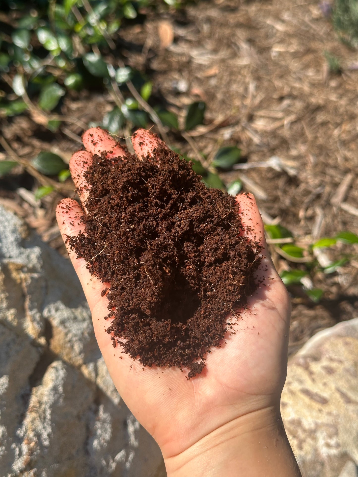 Tropical Coco Soil Jurassic Natural Substrate 8L