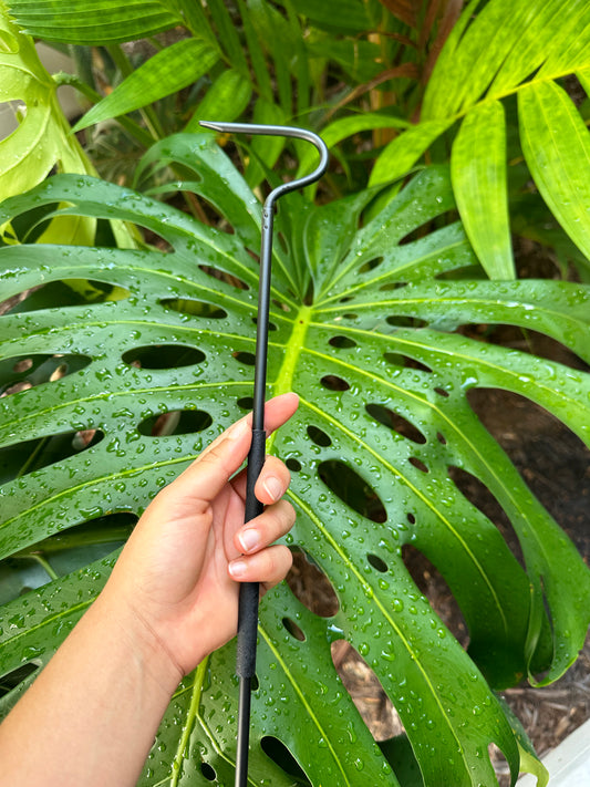 Snake Hook