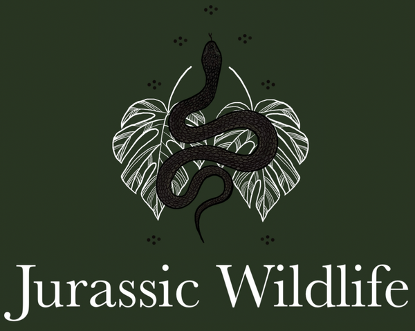 Jurassic Wildlife