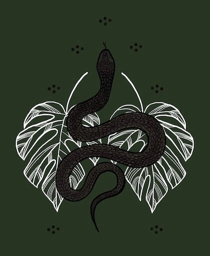 Stimson's Pythons – Jurassic Wildlife